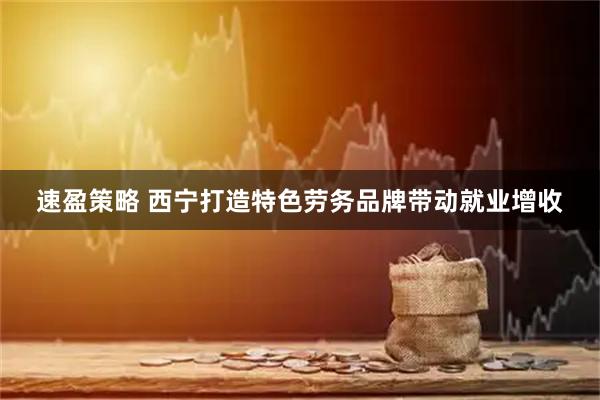 速盈策略 西宁打造特色劳务品牌带动就业增收