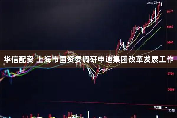 华信配资 上海市国资委调研申迪集团改革发展工作