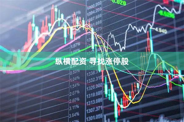 纵横配资 寻找涨停股