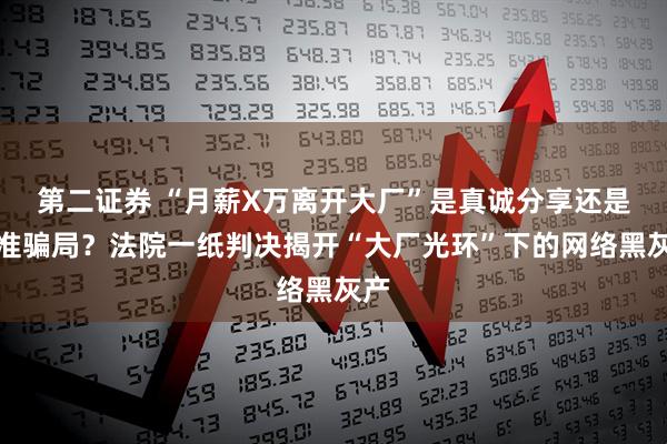 第二证券 “月薪X万离开大厂”是真诚分享还是精准骗局？法院一纸判决揭开“大厂光环”下的网络黑灰产