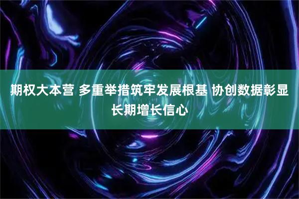 期权大本营 多重举措筑牢发展根基 协创数据彰显长期增长信心
